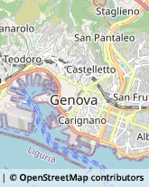 Importatori ed Esportatori Genova,16122Genova