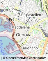 Importatori ed Esportatori Genova,16124Genova