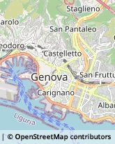 Articoli da Regalo - Dettaglio Genova,16124Genova