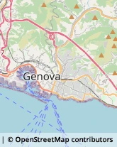 Motori Marini Genova,16147Genova