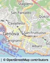 Motori Marini Genova,16126Genova