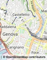 Laboratori di Analisi Cliniche Genova,16125Genova