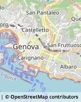 Frutta e Verdura - Dettaglio Genova,16100Genova