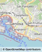 Traduttori ed Interpreti Genova,16123Genova