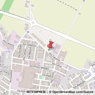 Mappa Via Trentina, 24, 42042 Fabbrico, Reggio nell'Emilia (Emilia Romagna)