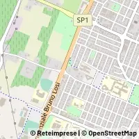 Carte Carpi