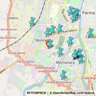 Mappa Via Giuseppe Calestani, 43100 Parma PR, Italia (1.2435)