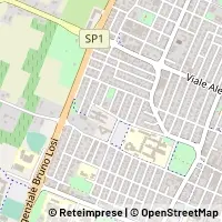 Map Carpi