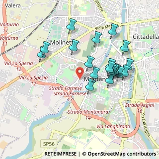 Mappa Strada Farnese, 43125 Parma PR, Italia (0.9195)