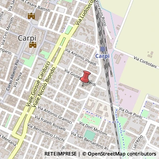 Mappa Via Gaetano Donizetti, 3, 41012 Carpi, Modena (Emilia Romagna)