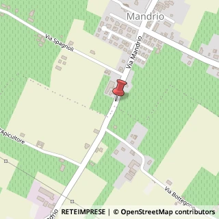 Mappa Via mandrio 26/c, 42015 Correggio, Reggio nell'Emilia (Emilia Romagna)