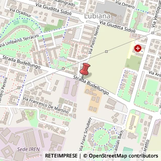 Mappa Strada Budellungo, 20, 43123 Parma, Parma (Emilia Romagna)