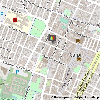 Partiti e Movimenti Politici Carpi,41012Modena