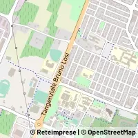 Map Carpi