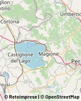 Consulenza alle Imprese e agli Enti Pubblici Perugia,06127Perugia