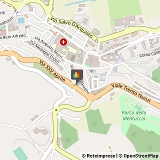 Consulenza Informatica,63900Fermo