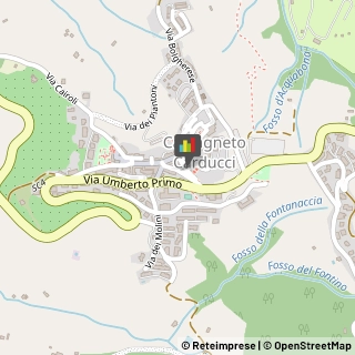 Amministrazioni Immobiliari Castagneto Carducci,57022Livorno