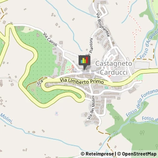 Carte Speciali Castagneto Carducci,57022Livorno