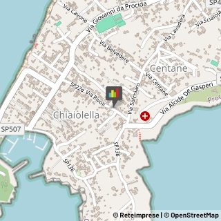 Aziende Agricole Procida,80079Napoli