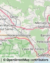 Bulbi e Sementi Cava de' Tirreni,84013Salerno