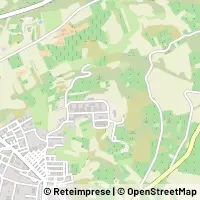 Carte Irsina