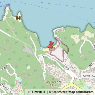 Mappa Via San Montano, 8, 80076 Lacco Ameno, Napoli (Campania)