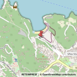 Mappa Via San Montano, 10, 80075 Lacco Ameno, Napoli (Campania)