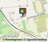 Palestre e Centri Fitness,80045Napoli