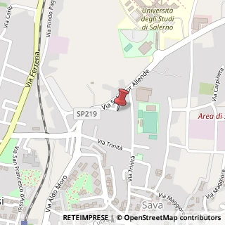 Mappa Via Salvador Allende, 46C, 84081 Baronissi, Salerno (Campania)