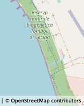 Giardinaggio - Servizio Cecina,57023Livorno