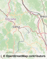 Idraulici e Lattonieri Siena,53100Siena