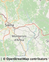 Idraulici e Lattonieri Siena,53100Siena