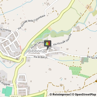 Bed e Breakfast Bibbona,57020Livorno