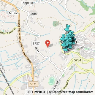 Mappa Località Piazzanella, 52044 Cortona AR, Italia (0.483)