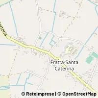 Peta Cortona