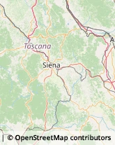 Idraulici e Lattonieri Siena,53100Siena