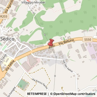 Mappa Via Belluno, 22, 32036 Sedico, Belluno (Veneto)