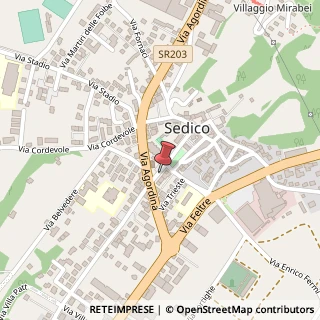 Mappa Viale Venezia, 14, 32036 Sedico, Belluno (Veneto)