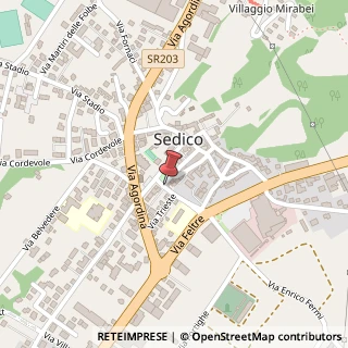 Mappa Via Alcide De Gasperi, 1, 32036 Sedico, Belluno (Veneto)