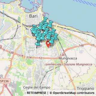 Mappa S.da Vicinale S. Pasquale, 70125 Bari BA, Italia (1.307)