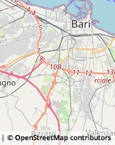 Ortofrutticoltura Bari,70121Bari