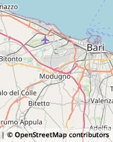 Alimentari Bari,70123Bari