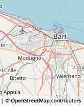 Feste - Organizzazione e Servizi Bari,70132Bari