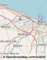 Ortofrutticoltura Bitritto,70020Bari