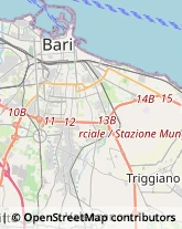 Sartorie Capurso,70010Bari