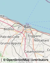 Feste - Organizzazione e Servizi Bari,70127Bari