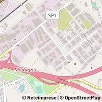 Peta Modugno