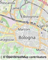 Fisiokinesiterapia - Medici Specialisti Bologna,40126Bologna