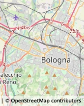 Bigiotteria - Dettaglio Zola Predosa,40069Bologna