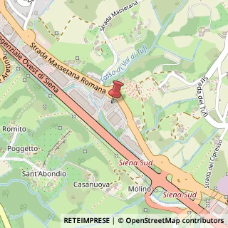 Mappa Strada Massetana Romana, 54, 53100 Siena, Siena (Toscana)